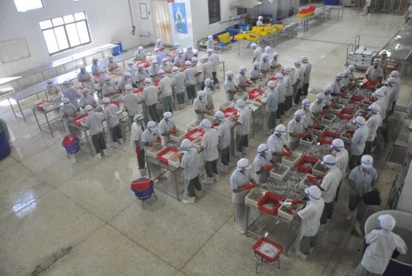 缅甸正在努力建设自主的水产品市场以改变被泰国垄断的局面