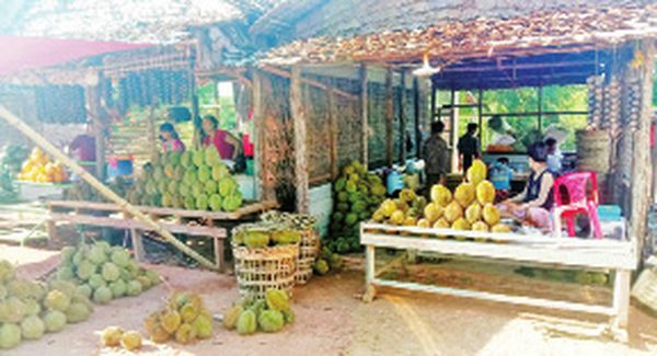 克伦邦高加力县区榴莲丰收购买力却下降