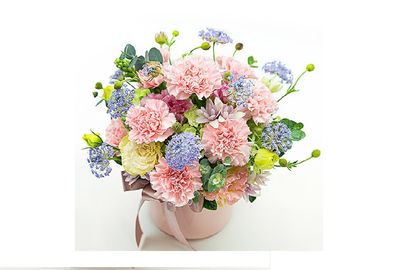 花献祖籍国（草蝶）