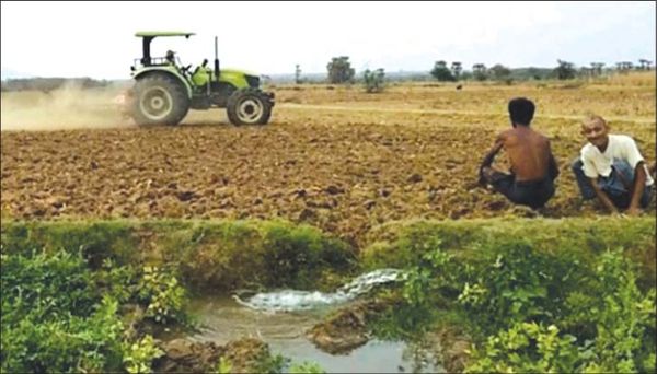 曼德勒省敏建、东达及卜巴山地区农民们种植厨房作物已获丰收