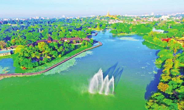 仰光市中心的甘都基大湖对当地生态环境起着巨大作用