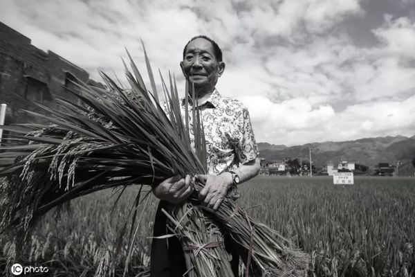 默哀！袁隆平院士逝世