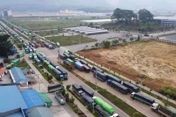 出口中国的缅甸芒果价格暴跌