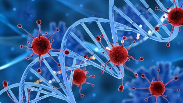 新冠病毒对任何人士都一视同仁，暴力恐怖份子同样不分青红皂白