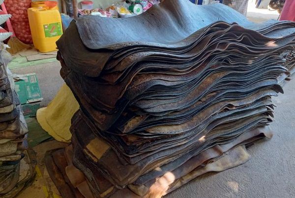 因疫情导致医用手套需求量增加，孟邦橡胶行情看涨