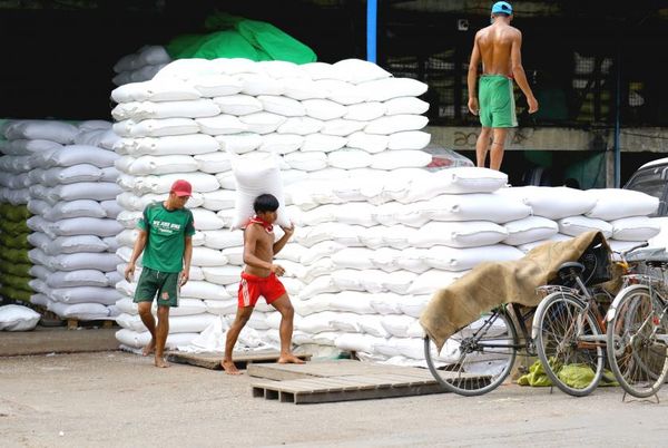 本财年前8个月大米和碎米出口创汇比去年同期减少近30%