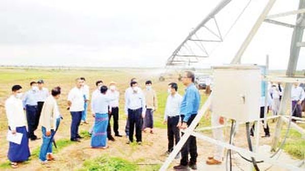 勃固省地区的农田耕种情况