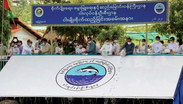 缅甸国内水产资源维护发展情况