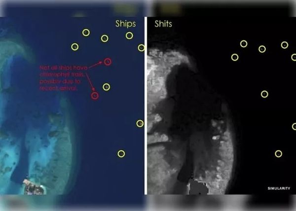 中国船在南海“倒粪便”？美公司报告被“打脸”