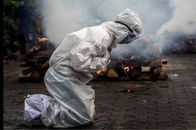 加油！胞波 (倩兮)