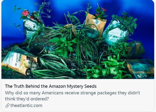 一名娱乐记者，竟然查清了一件中美之间争论许久的敏感事件