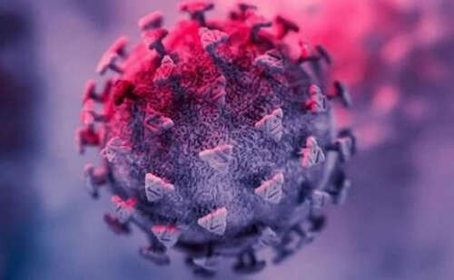 对美国的溯源，我们有了重大发现！