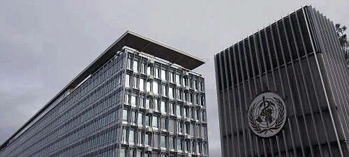 世卫组织秘书处此举，遭到坚决反对！