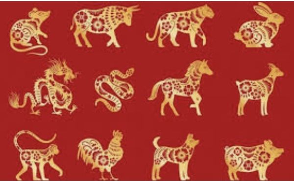 人类生活与动物世界（苏顺路）