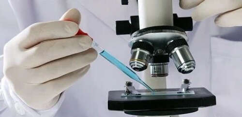 研发加紧推进！