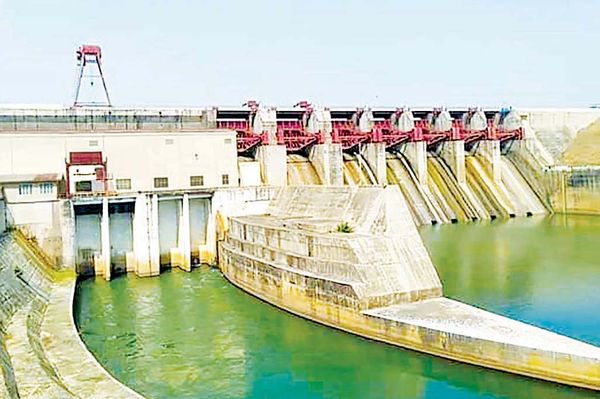 曼德勒专区及彬乌伦专区雨季稻种植情况