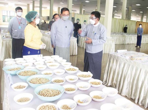 缅甸珍珠生产情况