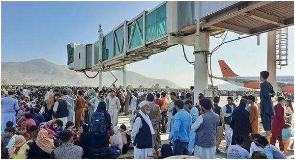 “美国的狗先走！”