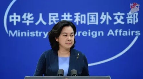 华春莹：台湾确实和阿富汗有根本不同！