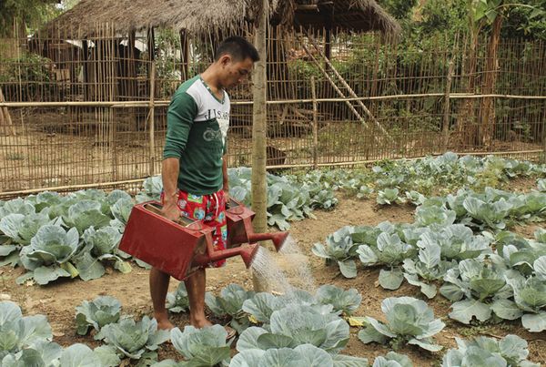 马奎省南卯县区农业局开展“家庭菜园”种植活动