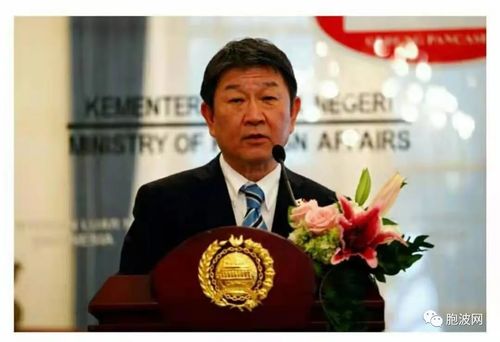 日本拒绝2名新任缅甸使馆人员的签证要求