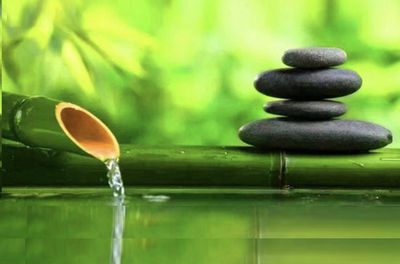 生命之流逝（杨灿云）