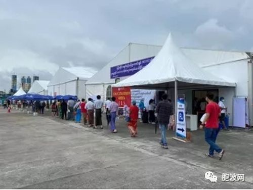 自费接种疫苗者自述：具体信息与感受