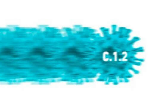 南非出现多重突变新冠病毒变异毒株！但……