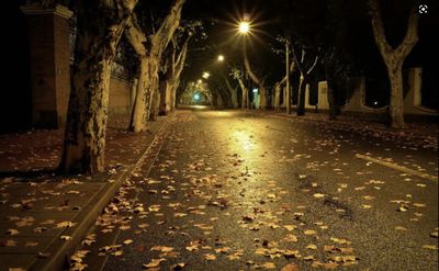 独自走在秋的小路（钟纯芳）