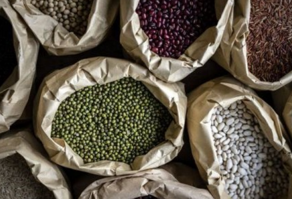 2020-2021财年的10个半月内的出口增加