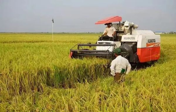 日本JICA向缅甸农民提供可分期偿还的低息贷款