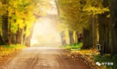 秋天晨步（倩兮）