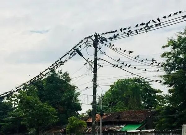 仰光省15个镇区因线路维修9月16日将停电