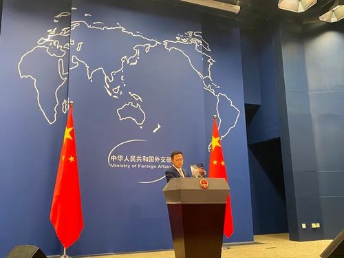 赵立坚向在场记者展示一副漫画。