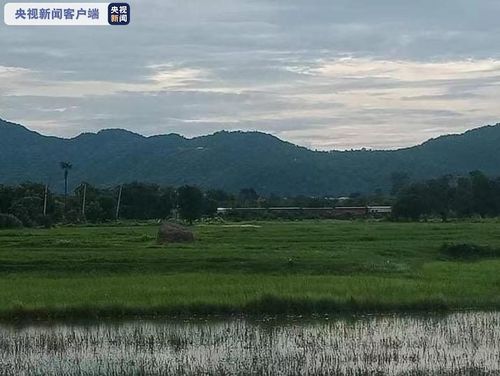 缅甸一邮政列车遭地雷袭击