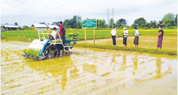 实皆省因水灾而受损失的农田统计