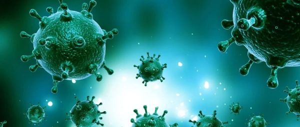 大数据溯源：美国新冠疫情较大概率始于2019年9月