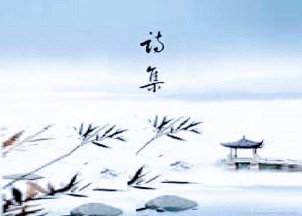 ​笔墨挥灑 恣情洋溢—拜读《朱徐佳诗集》有感（黄庭凯）