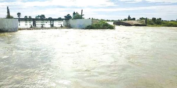 实皆省钦乌县1万多英亩稻田遭水淹没