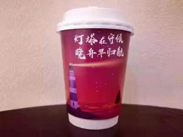 孟晚舟在中国政府包机上发布感言