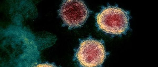 美知名记者怒斥美国主流媒体故意栽赃中国