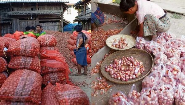 印度国家方面的讯息使缅甸洋葱市场行情发生变动