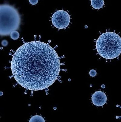 比德尔塔更危险，台湾出现首例