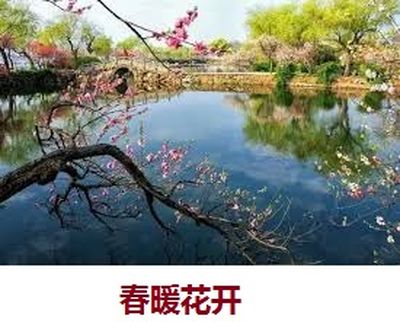 一七令.四首：春、夏、秋、冬 （舒云）