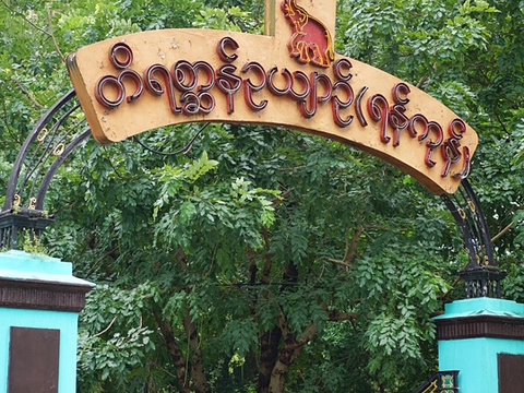 仰光动物园饲养着各种动物1,377头