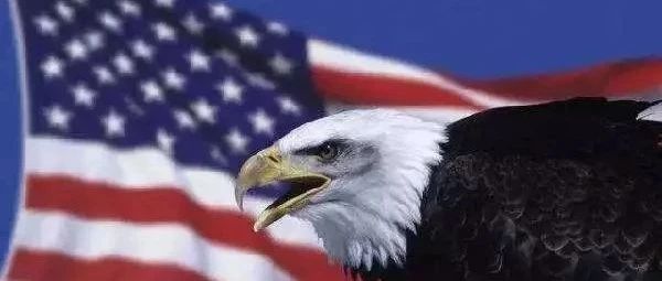 今年以来，这是对中国攻击最猛烈的24小时！