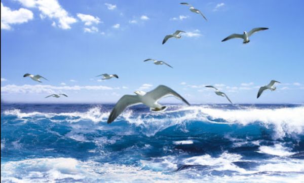 《似蜜随笔》莱江夜歌（了因）