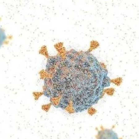 张文宏研判奥密克戎未来传播的3个场景