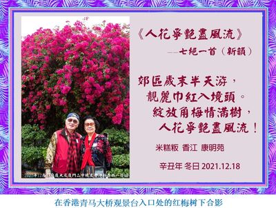 奉和米糕先生詩《人花争艳尽风流》（舒云）