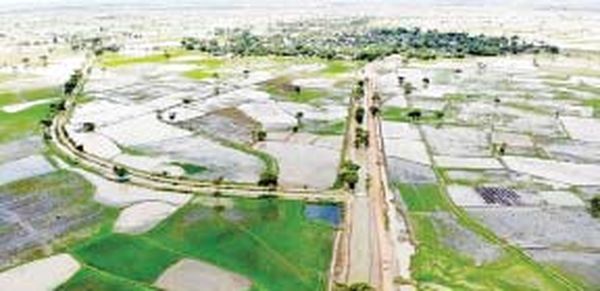 实皆省本年度内将种植30多万英亩夏季稻